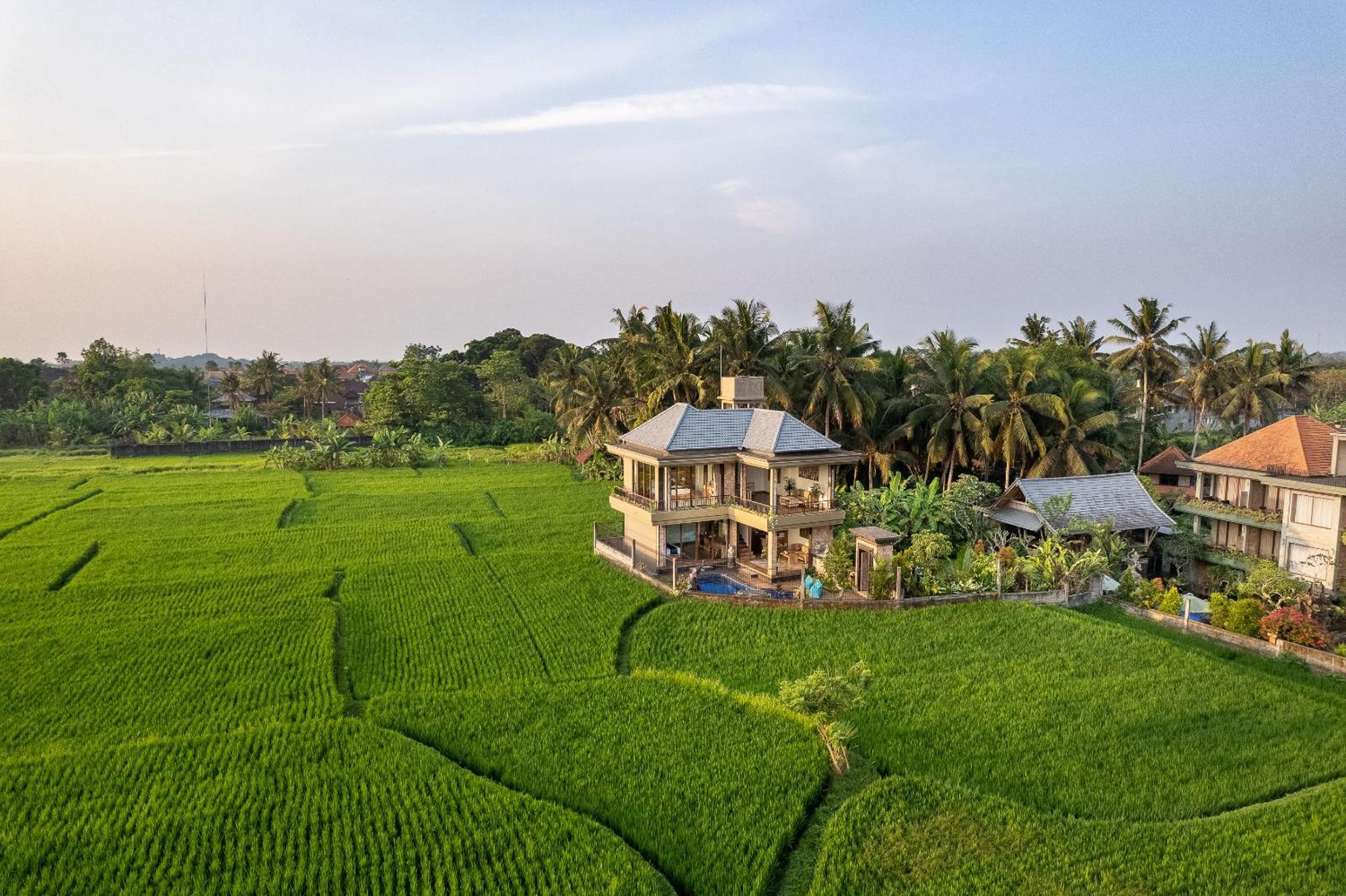 Gynandha Ubud Cottage Ngoại thất bức ảnh