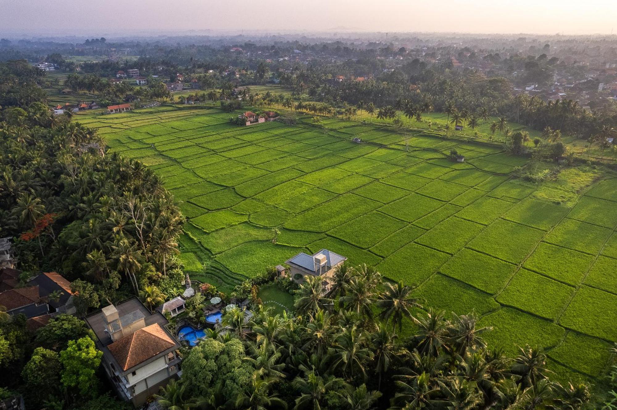 Gynandha Ubud Cottage Ngoại thất bức ảnh