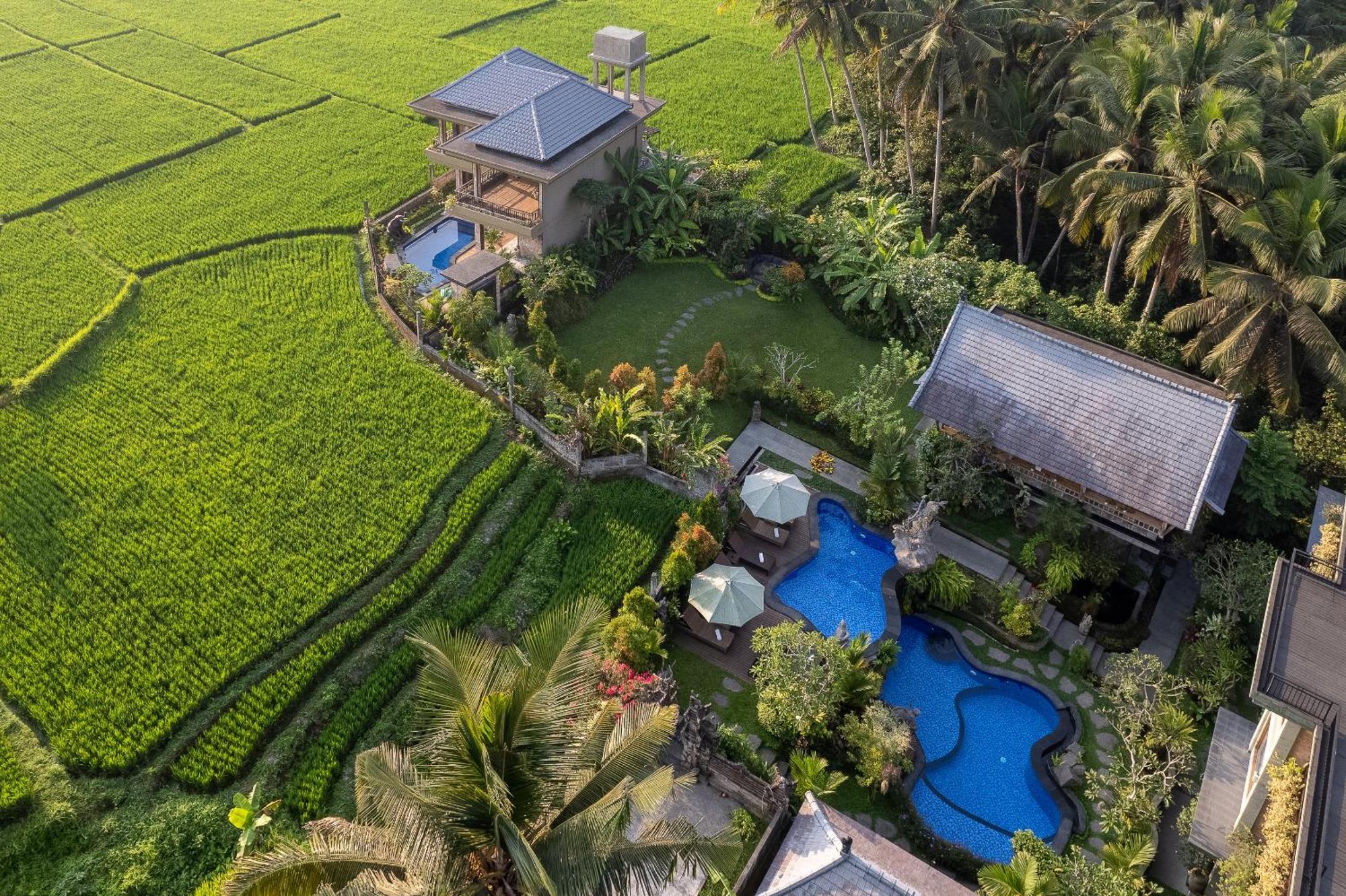 Gynandha Ubud Cottage Ngoại thất bức ảnh